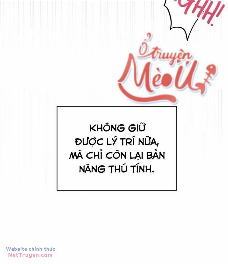 Dinh Thự Của Dã Thú: Chapter 41