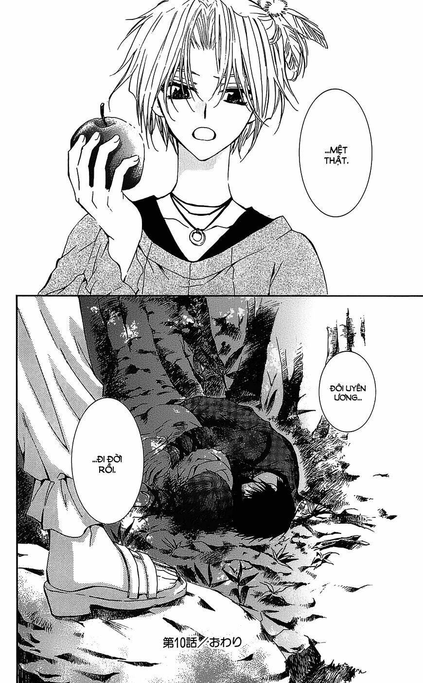 Đóa Hoa Bùng Cháy: Chapter 10
