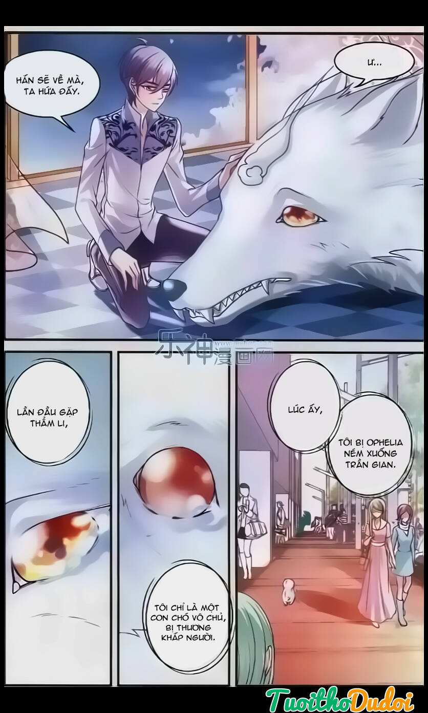 Đoàn Xiếc Thú Ánh Trăng: Chapter 29