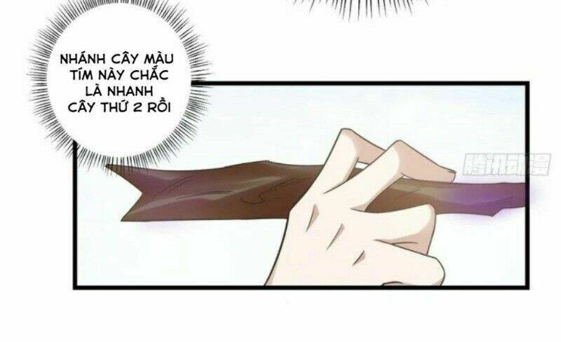 Độc Bộ Thiên Hạ: Đặc Công Thần Y: Chapter 206