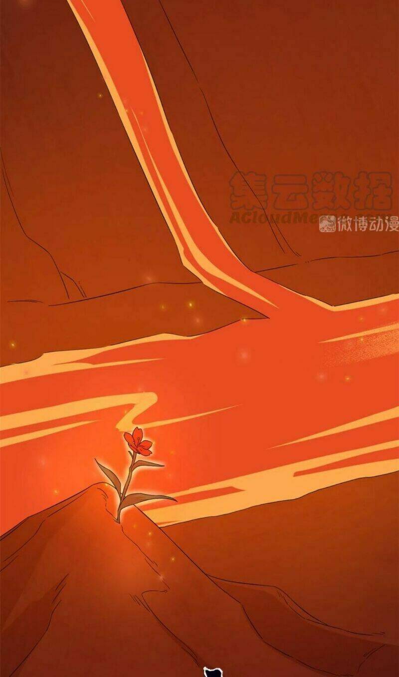 Độc Bộ Thiên Hạ: Đặc Công Thần Y: Chapter 284