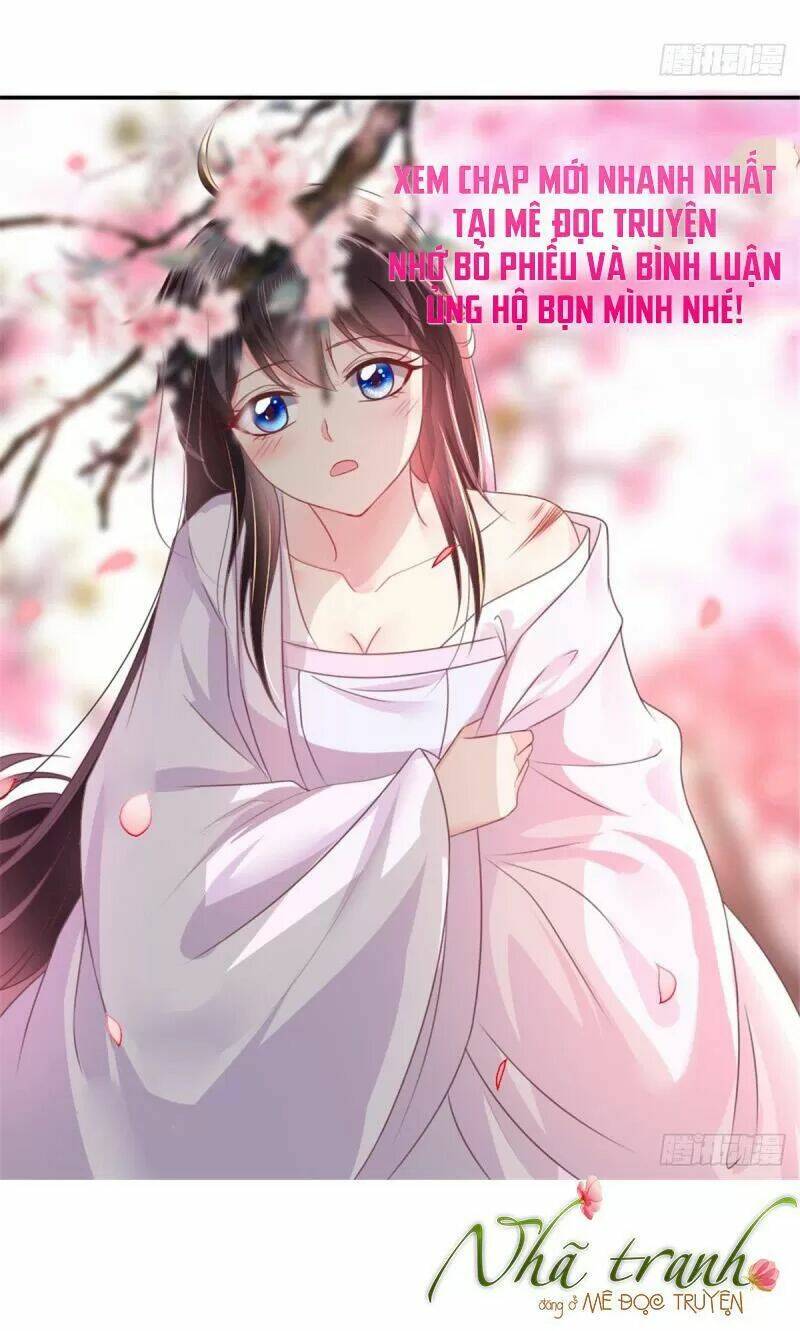 Độc Phi Ngu Ngốc Không Thể Chọc: Chapter 114