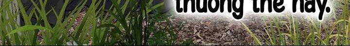 Đội Trưởng Lính Đánh Thuê: Chapter 117