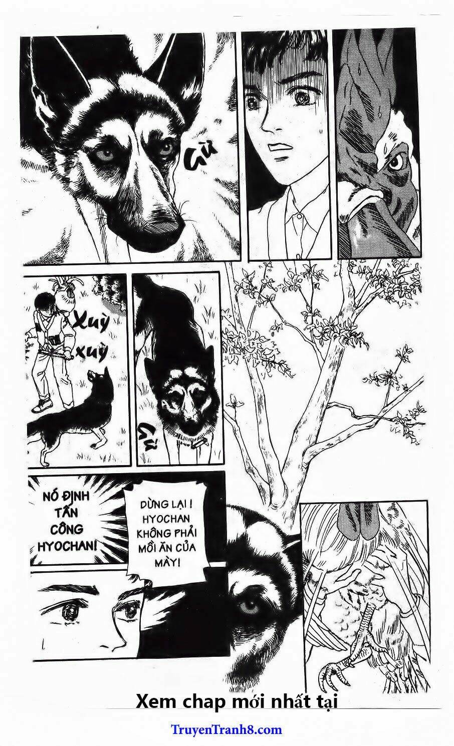 Luân Bàn Thế Giới: Chapter 102