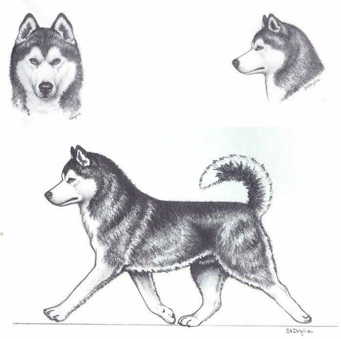Luân Bàn Thế Giới: Chapter 2