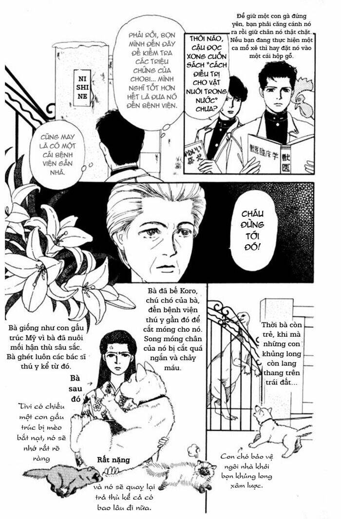 Luân Bàn Thế Giới: Chapter 3