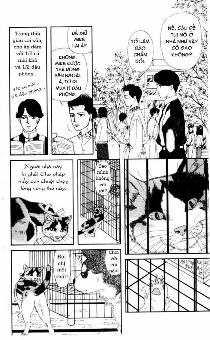 Luân Bàn Thế Giới: Chapter 4