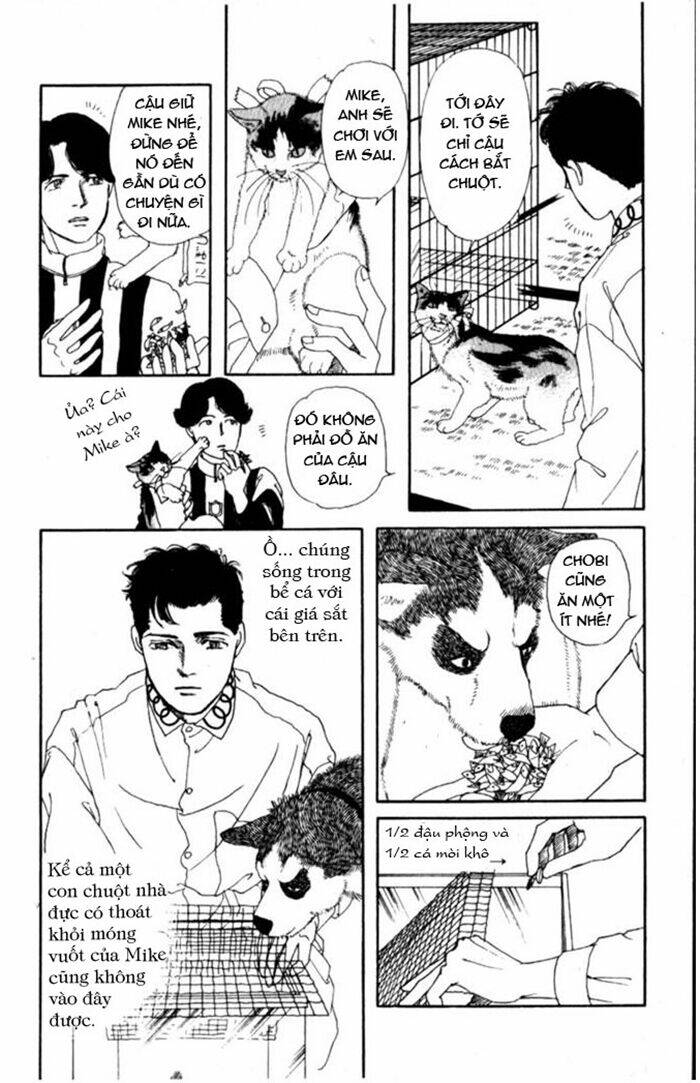 Luân Bàn Thế Giới: Chapter 4