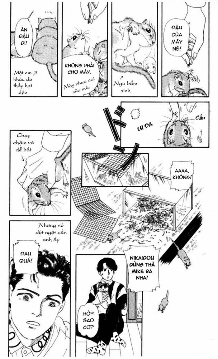 Luân Bàn Thế Giới: Chapter 4