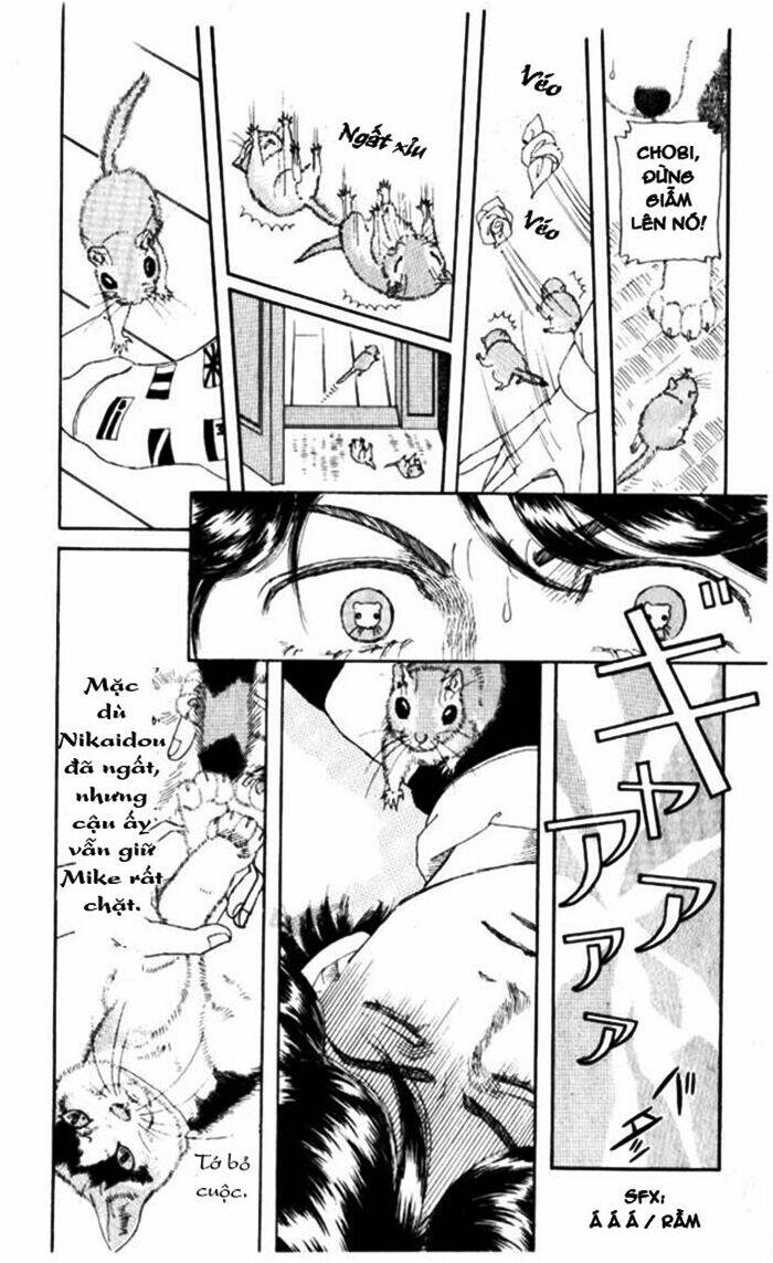 Luân Bàn Thế Giới: Chapter 4