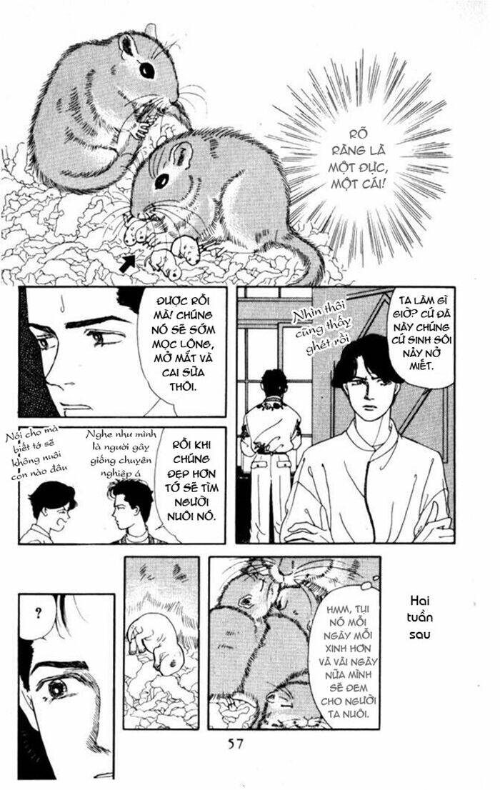 Luân Bàn Thế Giới: Chapter 4