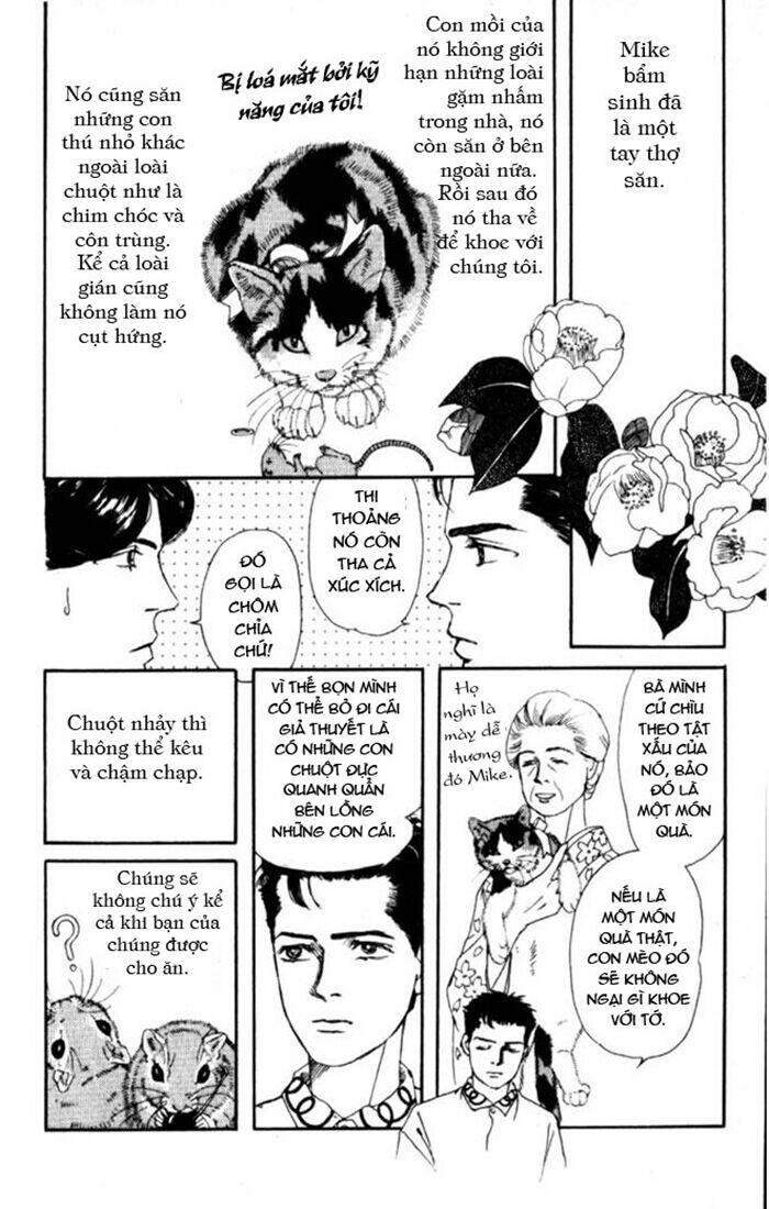 Luân Bàn Thế Giới: Chapter 4