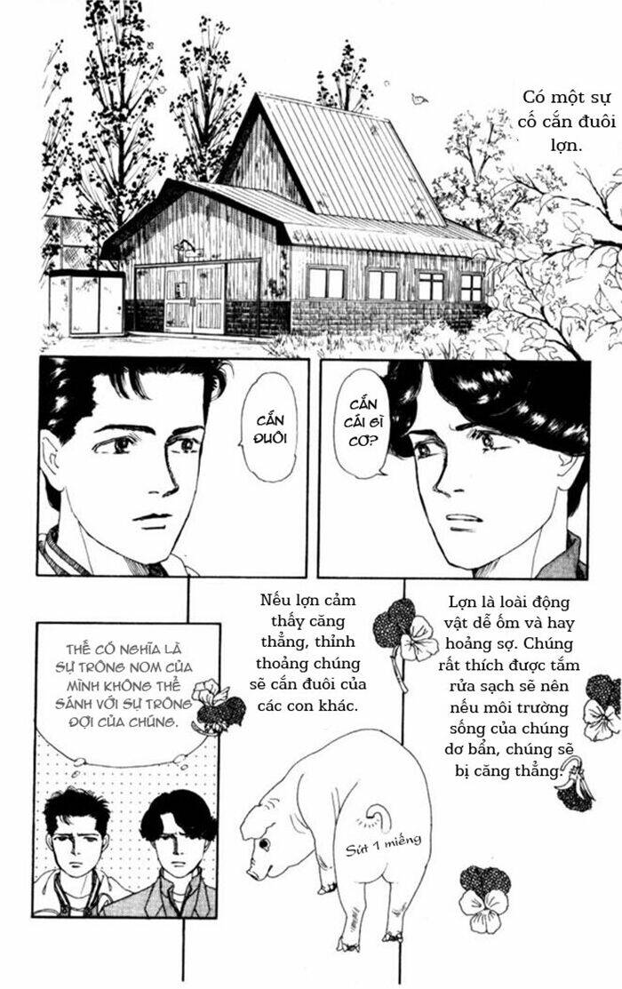 Luân Bàn Thế Giới: Chapter 5
