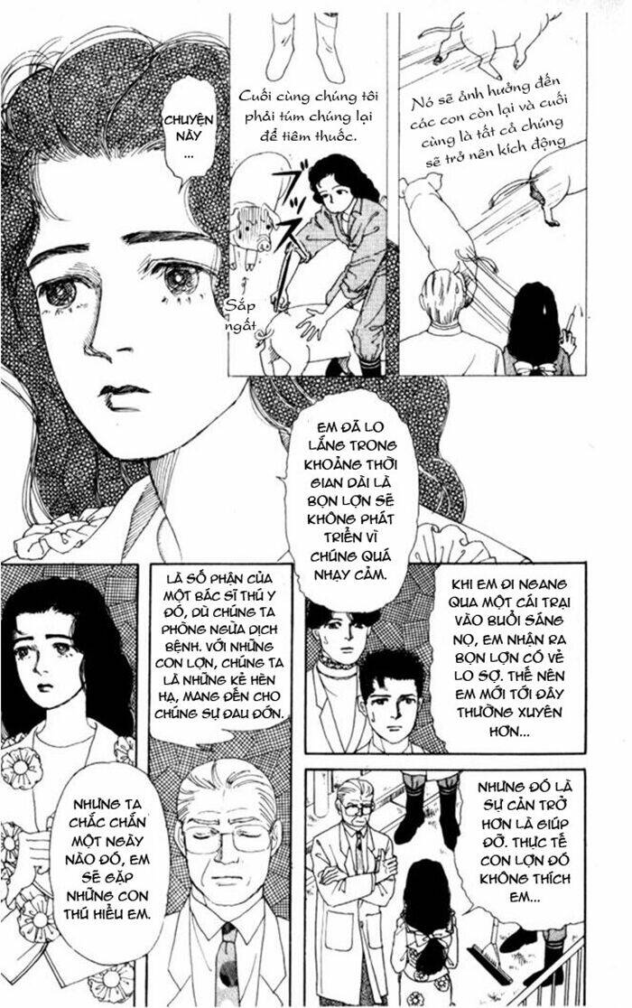 Luân Bàn Thế Giới: Chapter 5