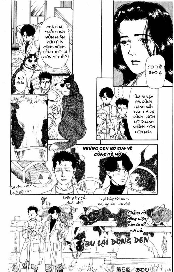 Luân Bàn Thế Giới: Chapter 5