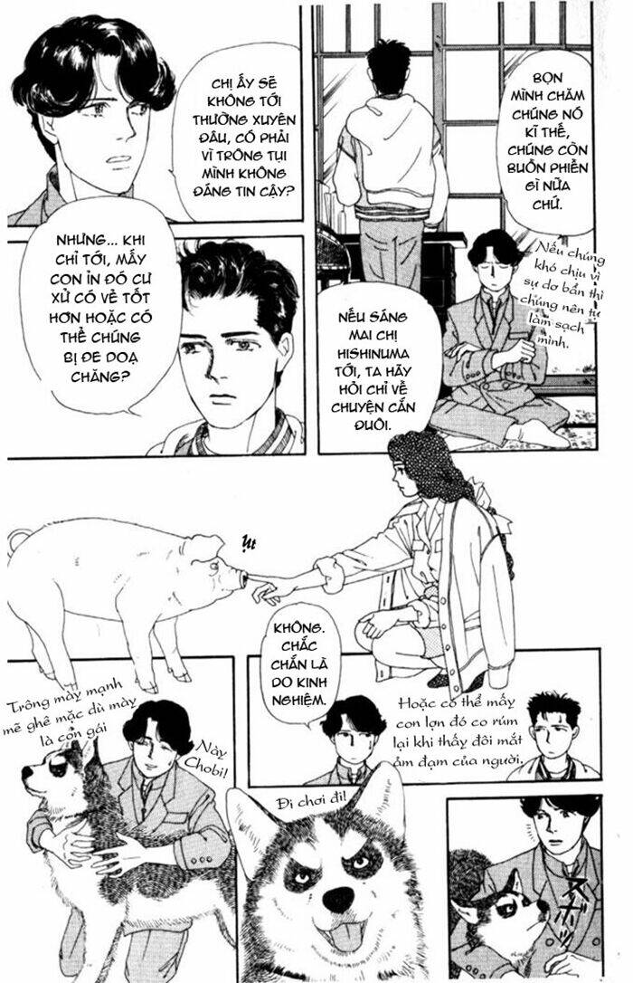 Luân Bàn Thế Giới: Chapter 5