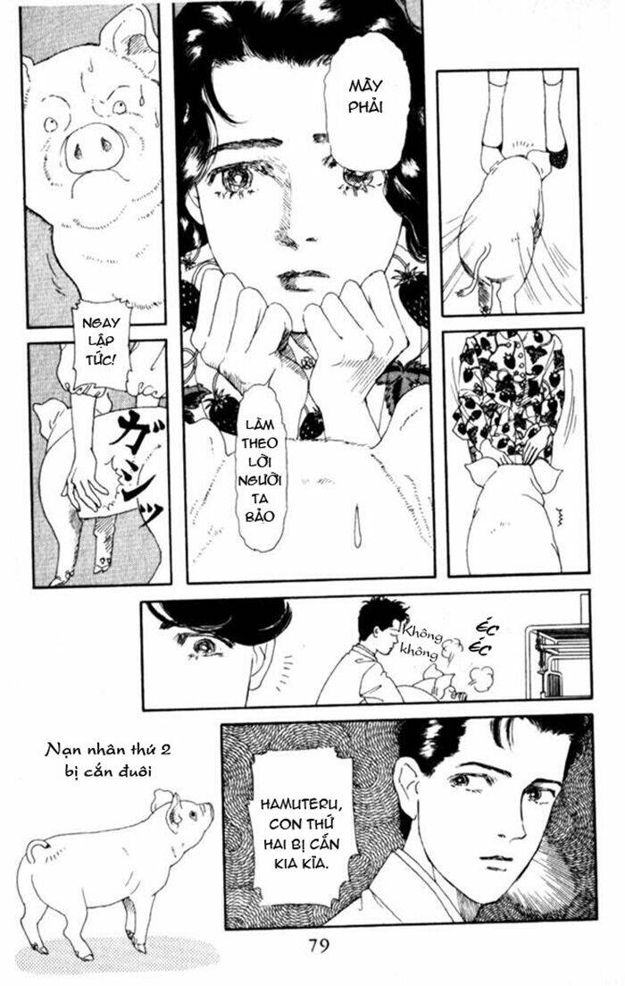 Luân Bàn Thế Giới: Chapter 5