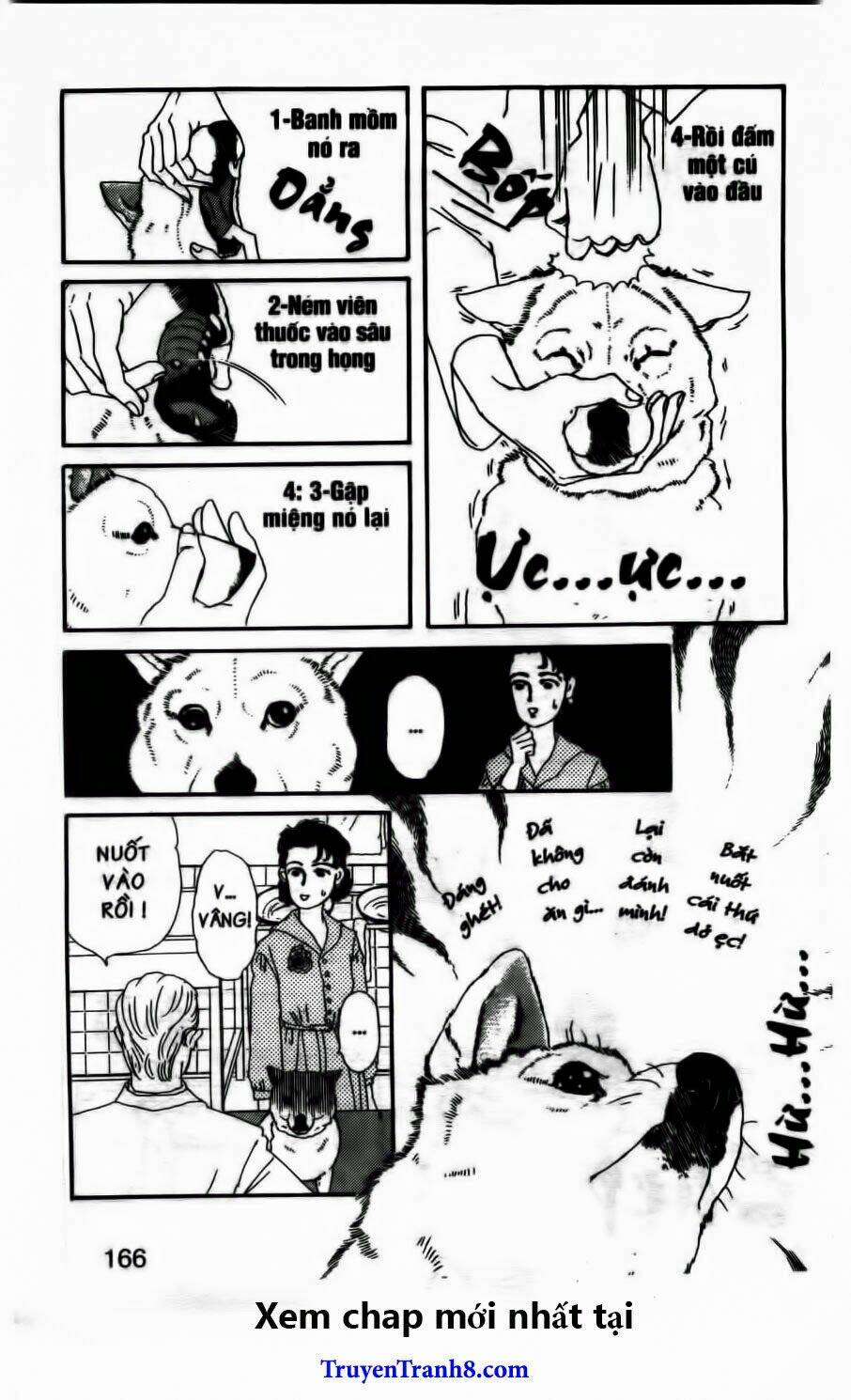 Luân Bàn Thế Giới: Chapter 52
