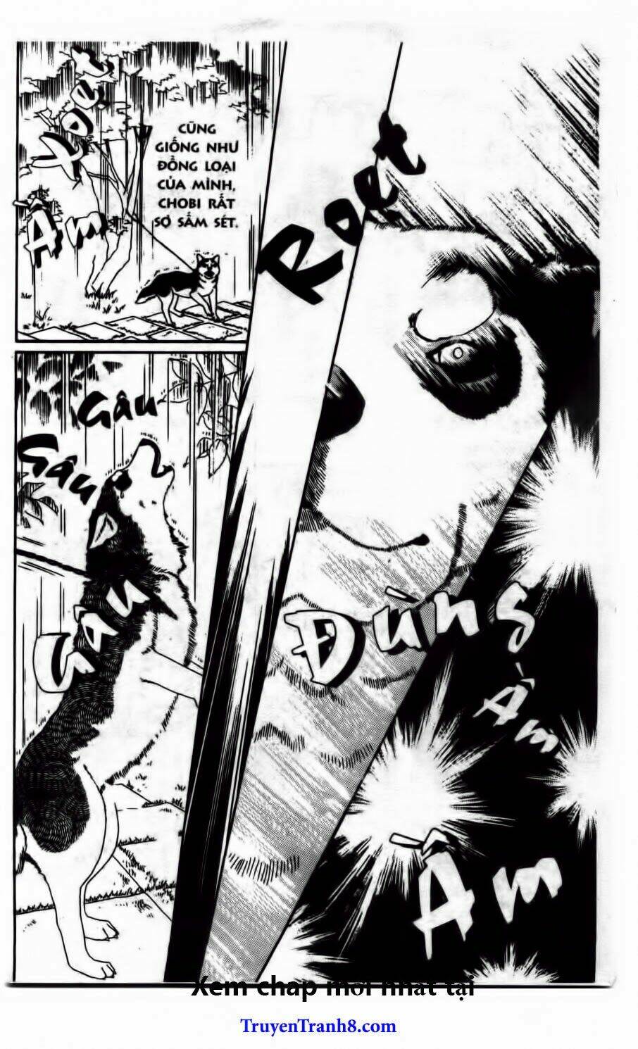 Luân Bàn Thế Giới: Chapter 55