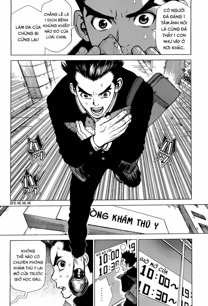 Dr.stone - Hồi Sinh Thế Giới: Chapter 1
