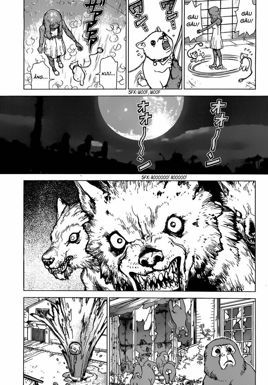Dr.stone - Hồi Sinh Thế Giới: Chapter 1