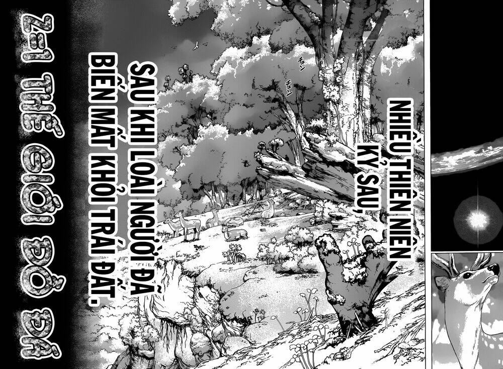 Dr.stone - Hồi Sinh Thế Giới: Chapter 1