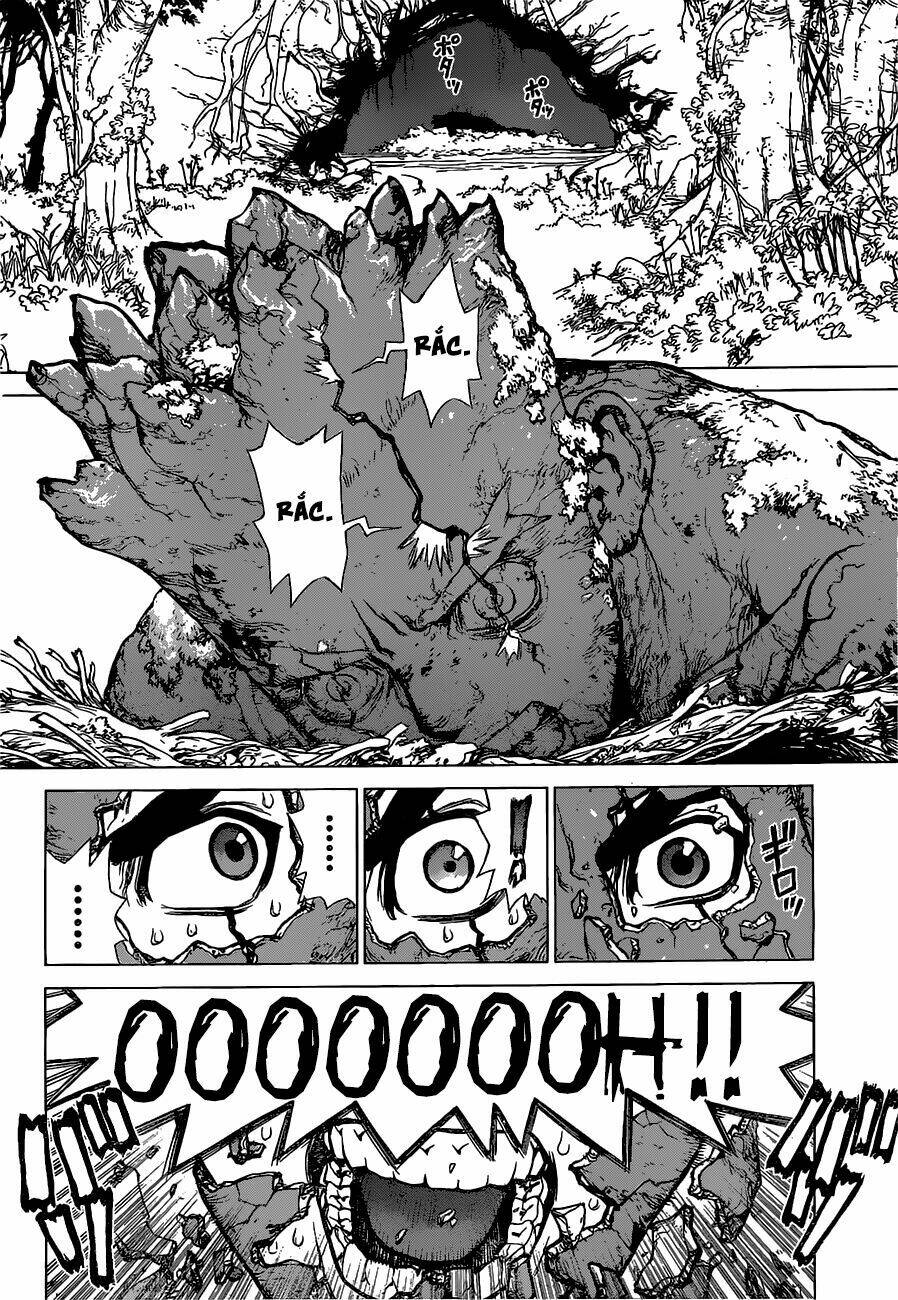 Dr.stone - Hồi Sinh Thế Giới: Chapter 1
