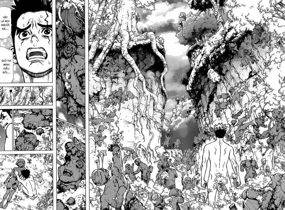 Dr.stone - Hồi Sinh Thế Giới: Chapter 1