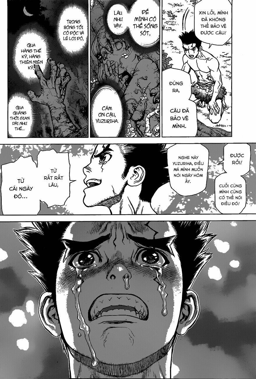 Dr.stone - Hồi Sinh Thế Giới: Chapter 1