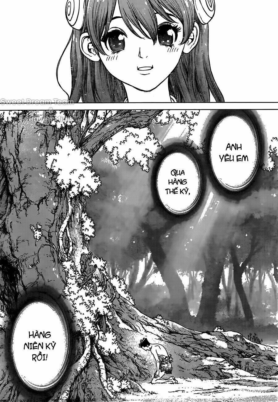 Dr.stone - Hồi Sinh Thế Giới: Chapter 1