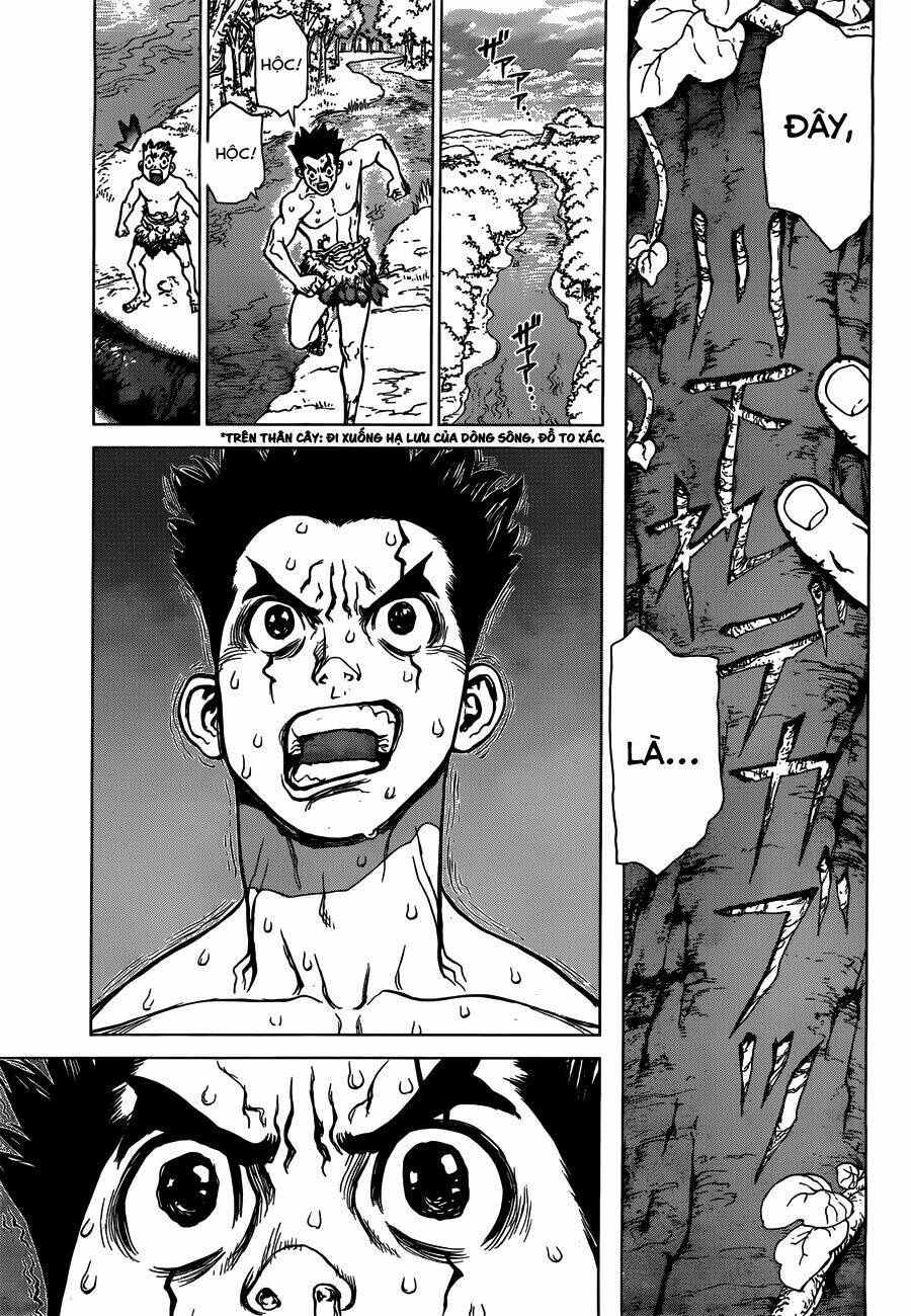 Dr.stone - Hồi Sinh Thế Giới: Chapter 1