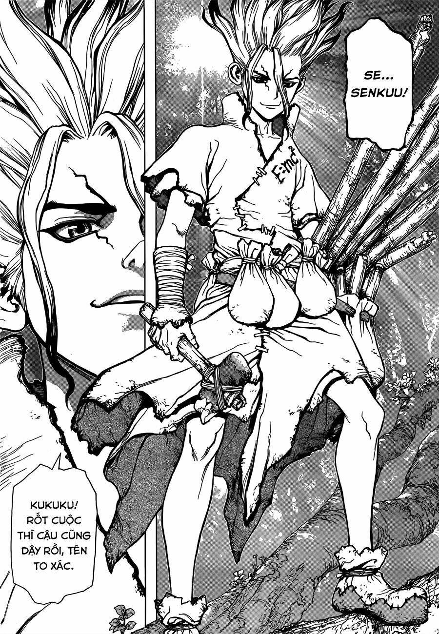 Dr.stone - Hồi Sinh Thế Giới: Chapter 1