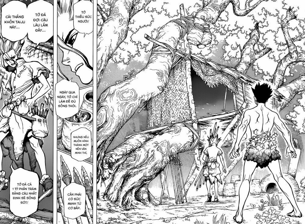 Dr.stone - Hồi Sinh Thế Giới: Chapter 1