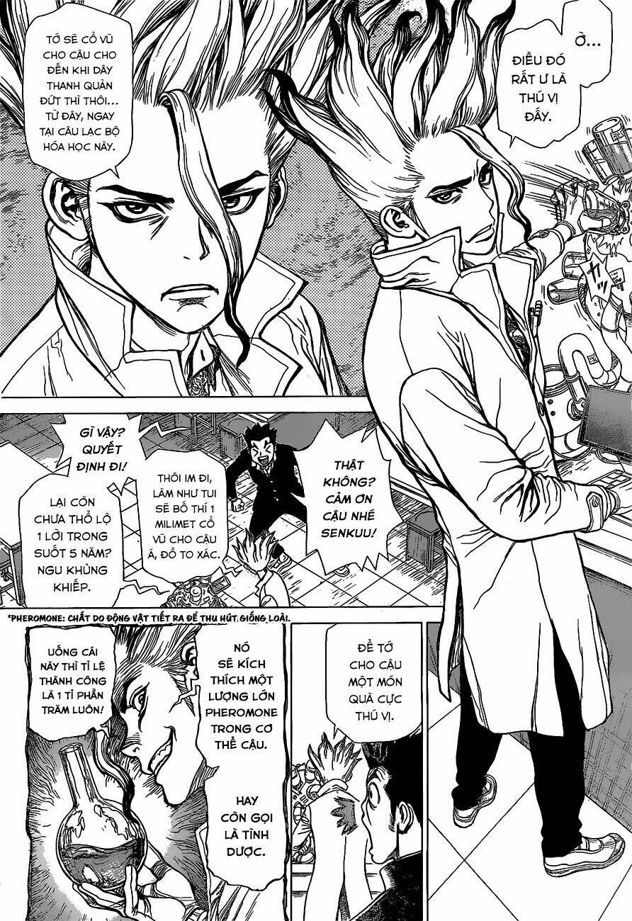 Dr.stone - Hồi Sinh Thế Giới: Chapter 1