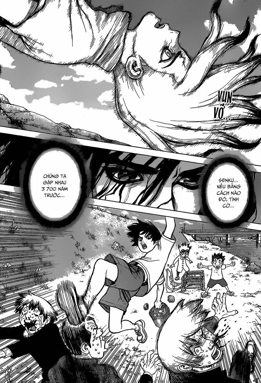 Dr.stone - Hồi Sinh Thế Giới: Chapter 11