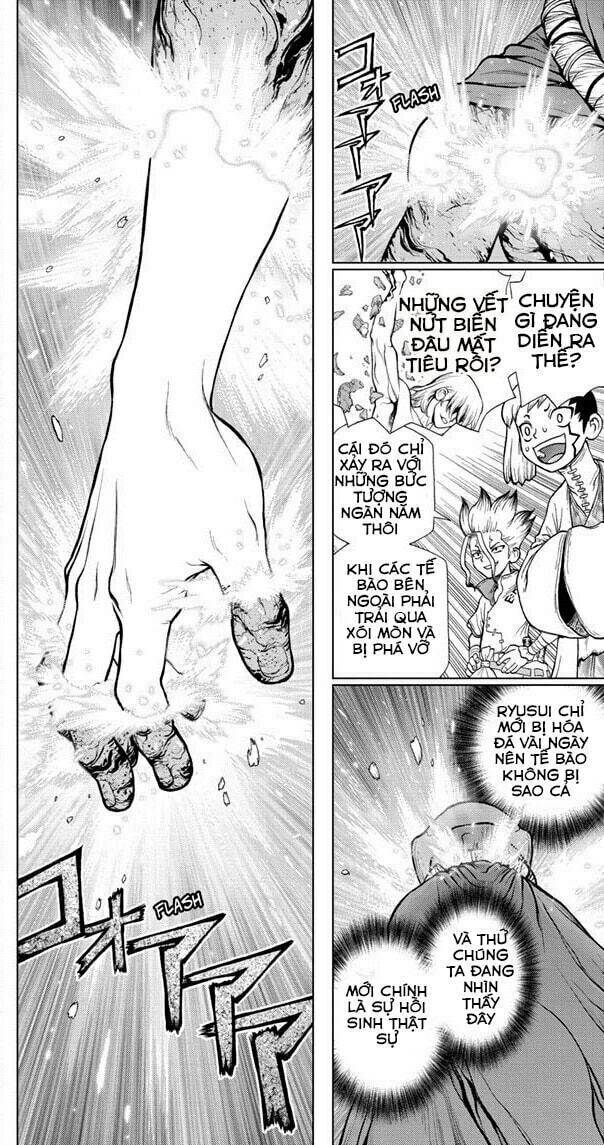 Dr.stone - Hồi Sinh Thế Giới: Chapter 116