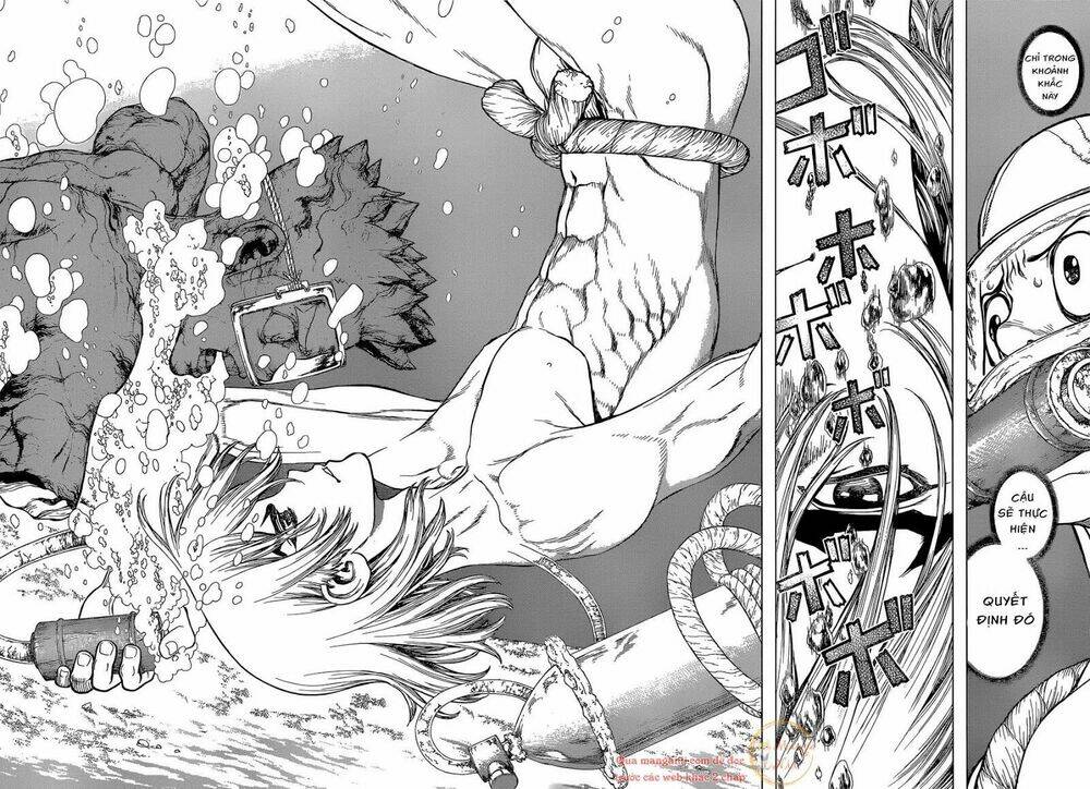 Dr.stone - Hồi Sinh Thế Giới: Chapter 118