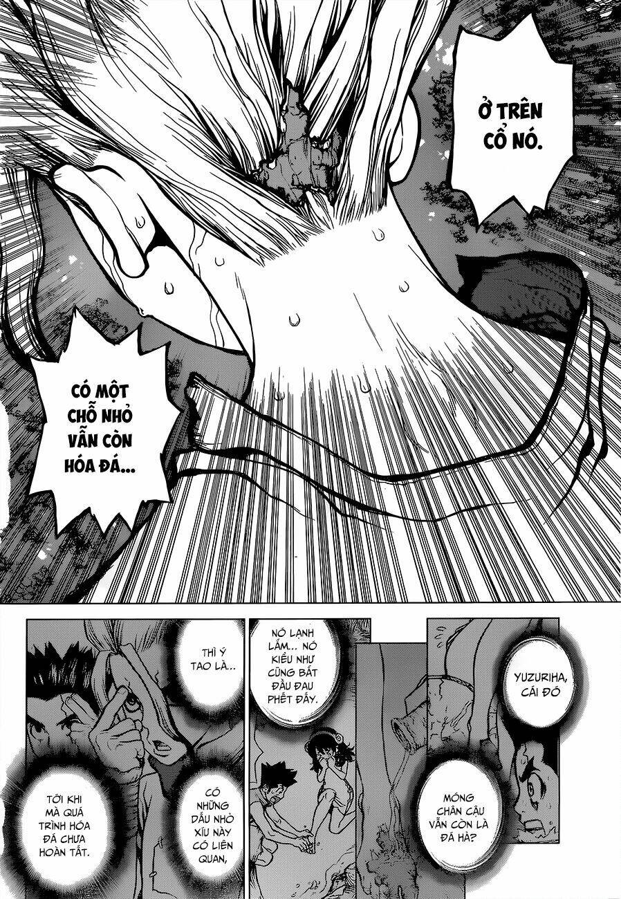 Dr.stone - Hồi Sinh Thế Giới: Chapter 12