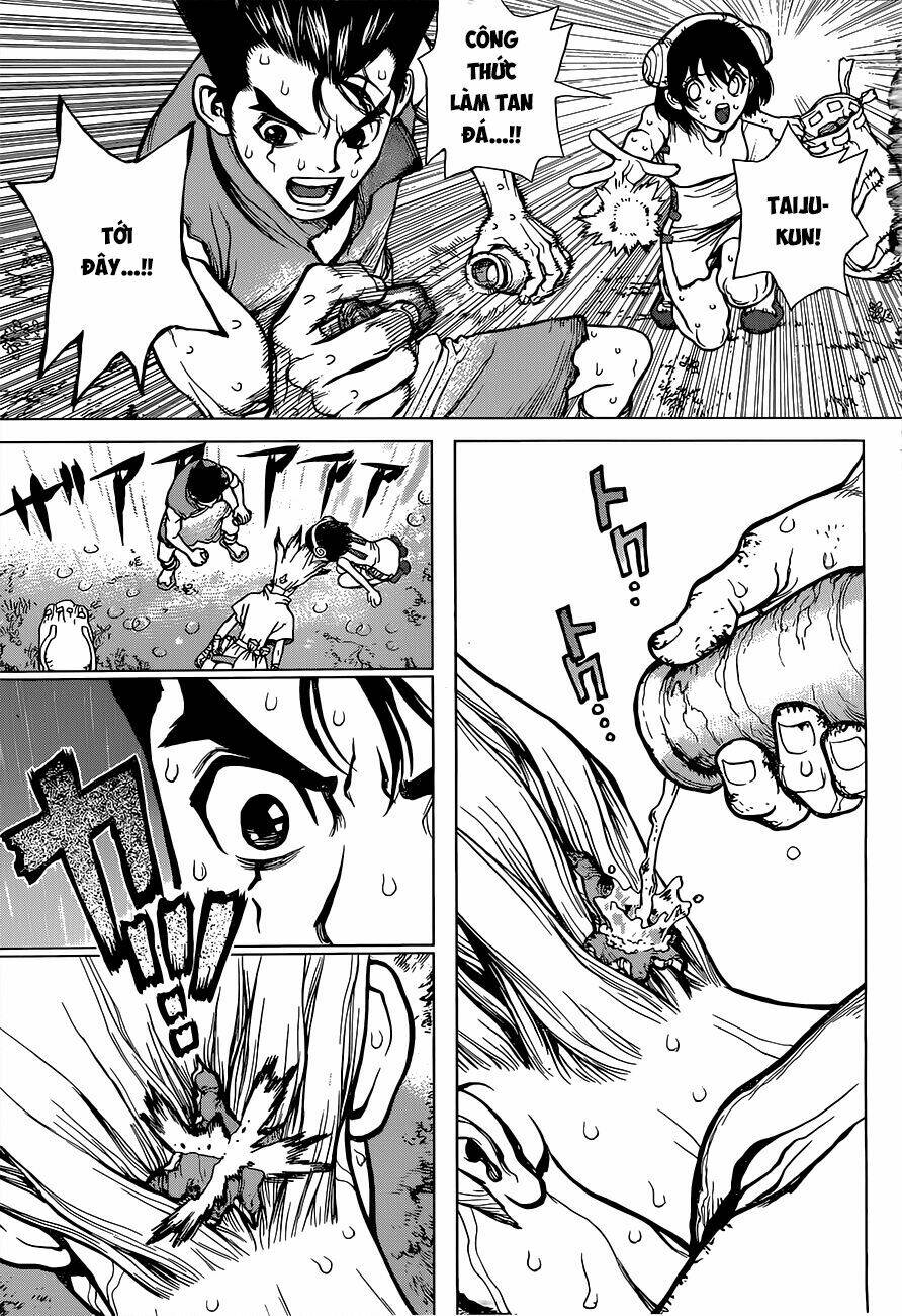 Dr.stone - Hồi Sinh Thế Giới: Chapter 12