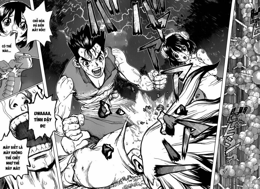 Dr.stone - Hồi Sinh Thế Giới: Chapter 12