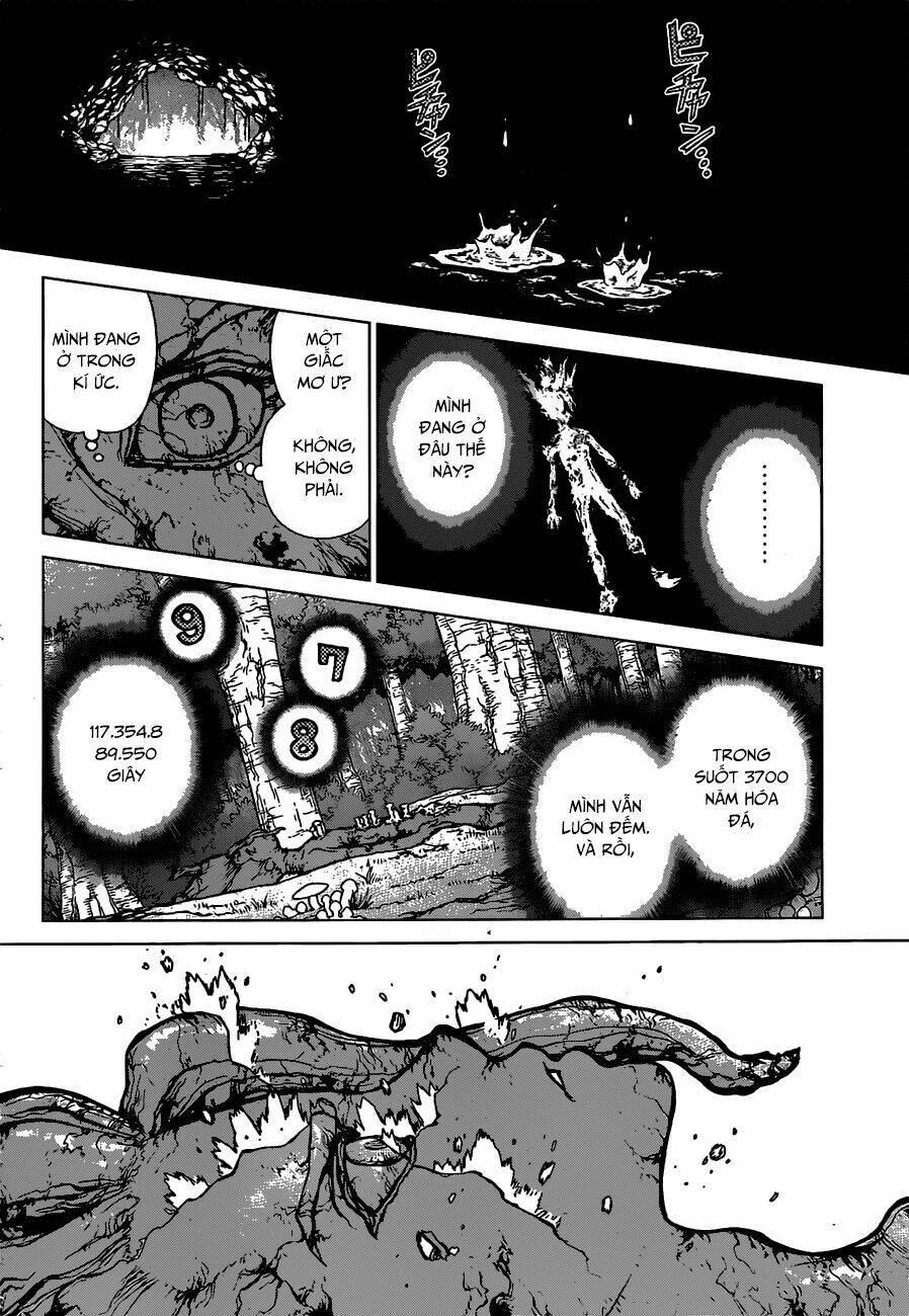 Dr.stone - Hồi Sinh Thế Giới: Chapter 12