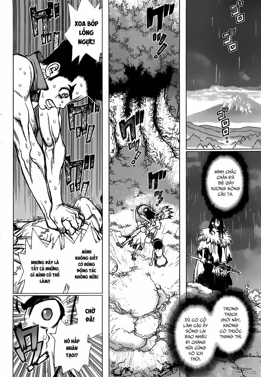 Dr.stone - Hồi Sinh Thế Giới: Chapter 12