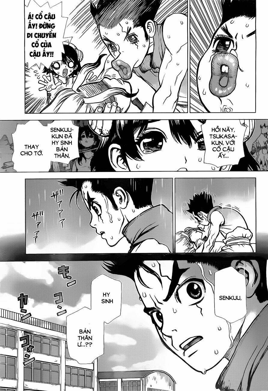 Dr.stone - Hồi Sinh Thế Giới: Chapter 12