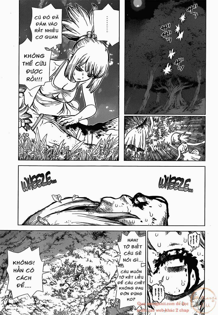 Dr.stone - Hồi Sinh Thế Giới: Chapter 121