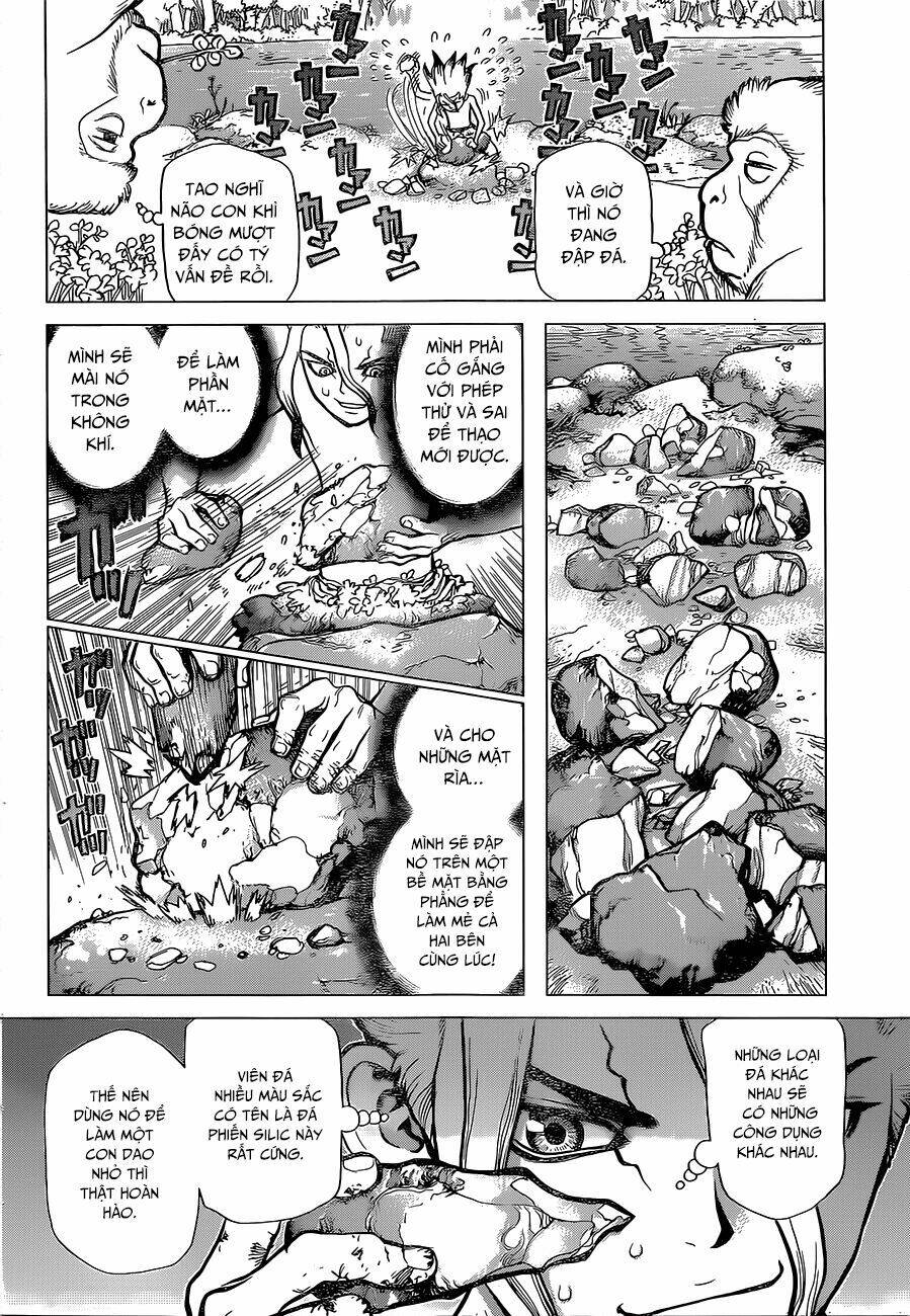 Dr.stone - Hồi Sinh Thế Giới: Chapter 13