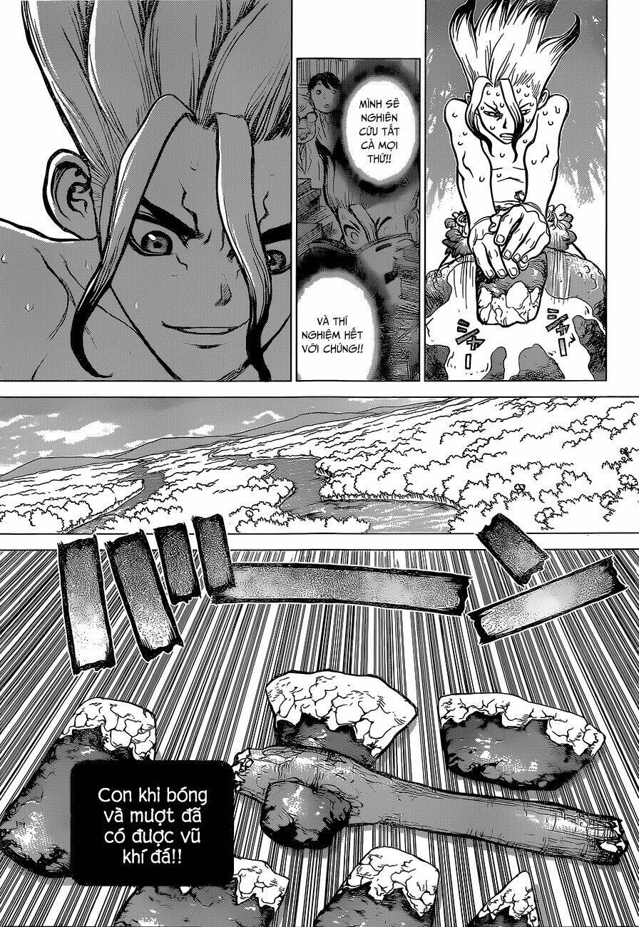 Dr.stone - Hồi Sinh Thế Giới: Chapter 13