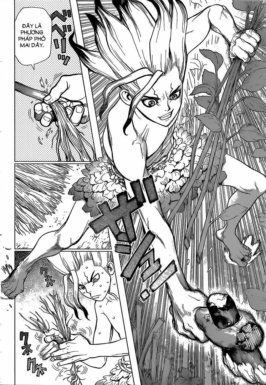 Dr.stone - Hồi Sinh Thế Giới: Chapter 13
