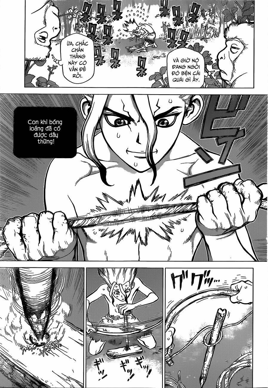 Dr.stone - Hồi Sinh Thế Giới: Chapter 13