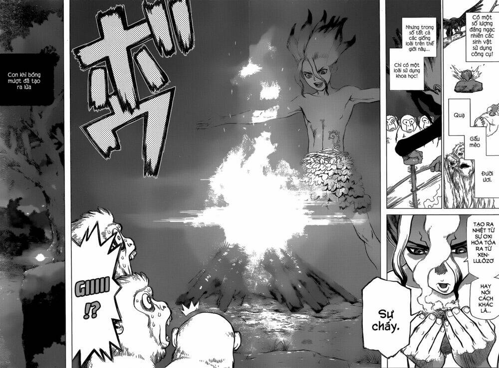 Dr.stone - Hồi Sinh Thế Giới: Chapter 13