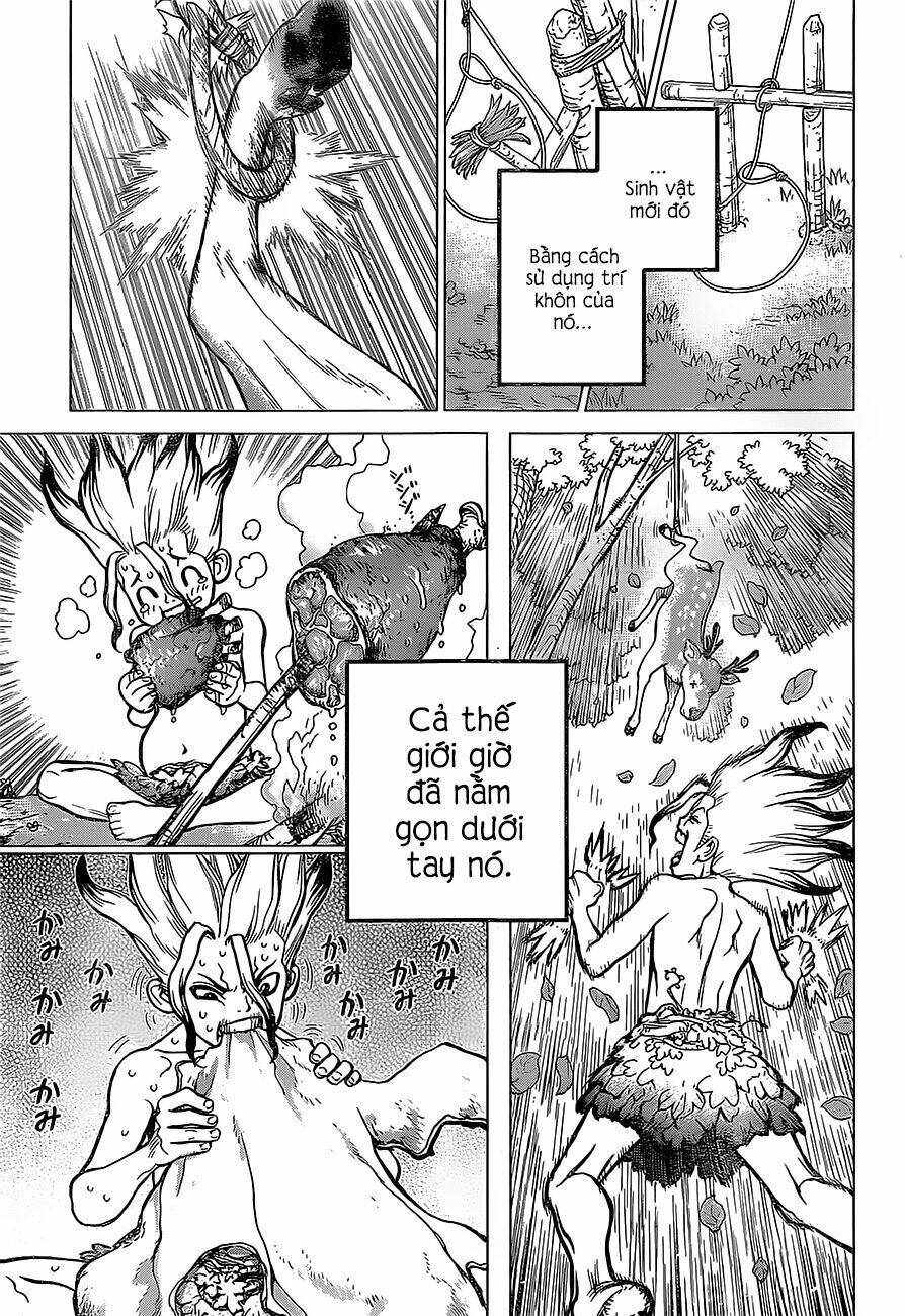 Dr.stone - Hồi Sinh Thế Giới: Chapter 13